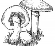 Coloriage et dessins gratuit Dessin Mario Champignon en couleur à imprimer