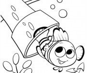 Coloriage Dessin Nemo Facile