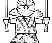 Coloriage Le Ninjago Vert Lloyd Garmadon