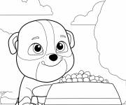 Coloriage B&eacute;b&eacute; Rubble de Pat Patrouille la super Patrouille