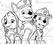 Coloriage Chase, Skye And Marshall de Pat Patrouille la super Patrouille