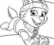 Coloriage Chiot Everest en s'amusant