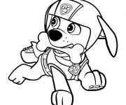 Coloriage Chiot Labrador Zuma