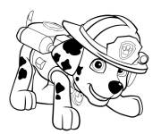 Coloriage Chiot Marcus de Pat patrouille Super patrouille
