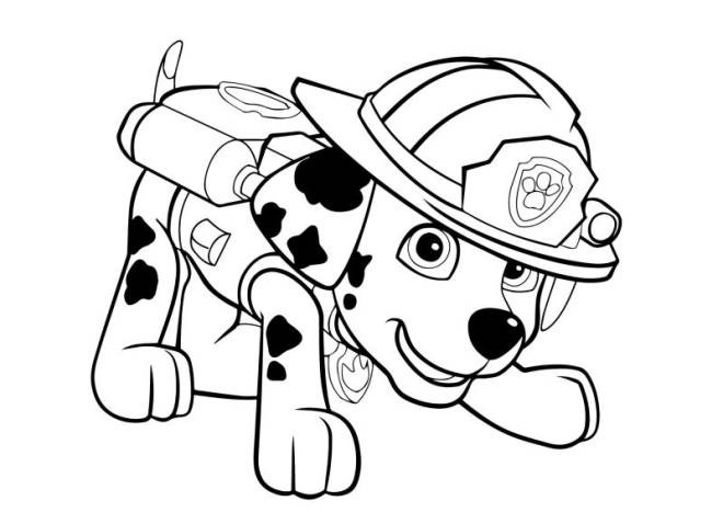 Coloriage Marcus Super Patrouille