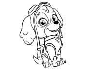 Coloriage Chiot Skye avec son pouvoir de creer des tornados