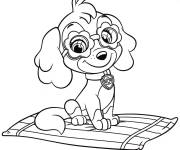 Coloriage Chiot Skye sur un tapis