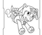Coloriage Chiot Zuma en courant