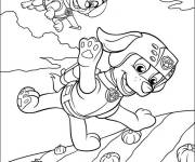 Coloriage H&eacute;ros de V&eacute;hicule Zuma en volant