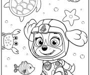 Coloriage Les aventures du film Pat patrouille Super patrouille