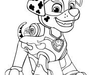 Coloriage Mighty Pups Marcus Super Pat Patrouille