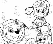 Coloriage Paw Patrol Mighty Pup Sauvetage en mer