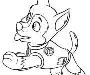 Coloriage Portrait de Racer l'un des super patrouille