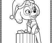 Coloriage Super Chiot Skye de Pat patrouille Super patrouille ouvre les cad