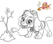 Coloriage et dessins gratuit Super chiot Stella arrose l&rsquo;arbre à imprimer