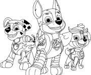 Coloriage Super chiots Marcus, Chase et Stella de la super pat patrouille
