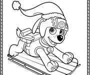 Coloriage Zuma de Pat patrouille Super patrouille c&eacute;l&egrave;bre le Noel