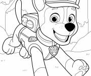 Coloriage Zuma souriant du film Pat Patrouille la super Patrouille 