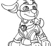 Coloriage Zuma super patrouille stylis&eacute;
