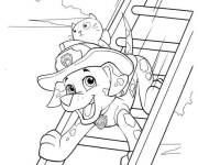 Coloriage Chiot Marcus sauve le chaton