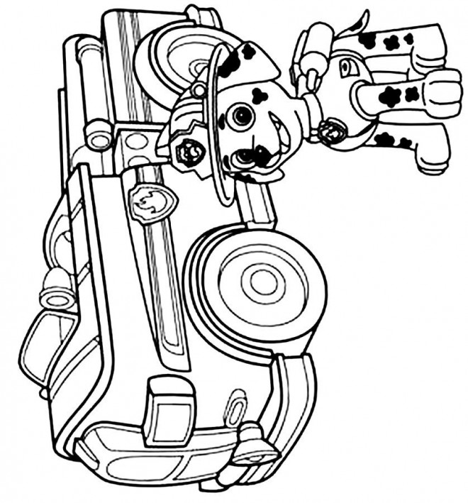 Coloriage Dessin facile Marcus Pat Patrouille dessin gratuit à imprimer