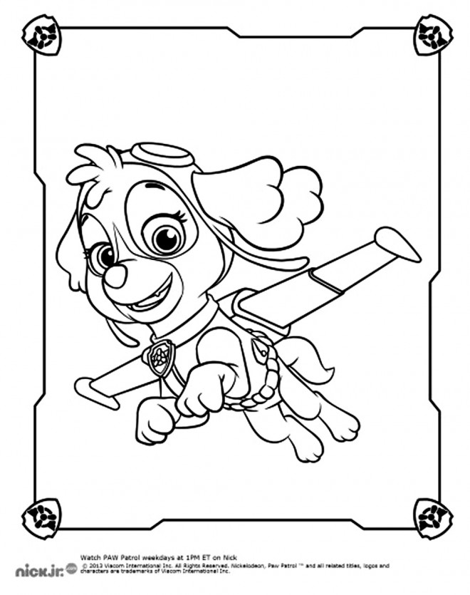 Coloriage Pat Patrouille Stella dessin gratuit à imprimer