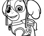 Coloriage Stella et la Pat Patrouille dessin gratuit à imprimer