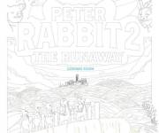 Coloriage Affiche Peter Rabbit 2 the Runaway
