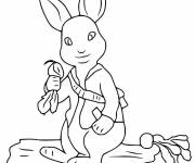 Coloriage Illustration Pierre lapin facile