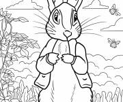 Coloriage Le mignon Pierre lapin dans le jardin