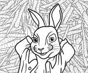 Coloriage Peter Rabbit allong&eacute; sur un lit de carottes