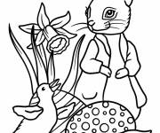 Coloriage Peter Rabbit avec des &oelig;ufs de P&acirc;ques