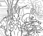 Coloriage Peter Rabbit r&eacute;colte des ails avec son ami