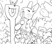 Coloriage et dessins gratuit Pierre lapin avec l'oiseau à imprimer