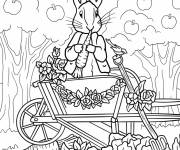 Coloriage Pierre Lapin chevauchant une brouette