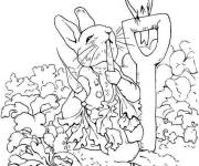 Coloriage Pierre Lapin dans le champ de carotte