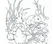 Coloriage et dessins gratuit Pierre lapin en couleurs à imprimer