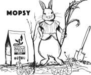 Coloriage Pierre lapin en sketch
