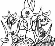 Coloriage Pierre Lapin entour&eacute; de canetons