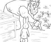Coloriage Pierre Lapin et Mr McGregor dans le champ