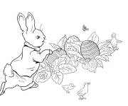 Coloriage Pierre lapin et ses amis oiseaux