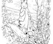 Coloriage Pierre lapin sc&egrave;ne de s&eacute;rie anim&eacute;