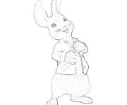 Coloriage Portrait de Pierre lapin