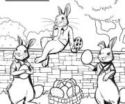 Coloriage Poster Pierre lapin 2