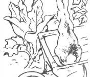 Coloriage Sc&egrave;ne de Pierre lapin en ligne &agrave; imprimer