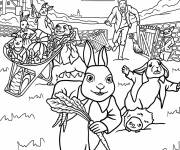 Coloriage Thomas McGregor &agrave; la poursuite de Pierre Lapin