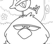 Coloriage B&eacute;b&eacute; oiseau et oiseau endormi de Pocoyo