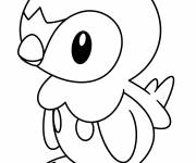 Coloriage Pingouin Pok&eacute;mo