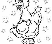 Coloriage Toccata le gros oiseau