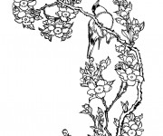 Coloriage Sarah Kay image en ligne